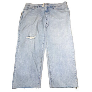 Madewell 20W Perfect Vintage Crop Light Wash Distressed Jeans NWT